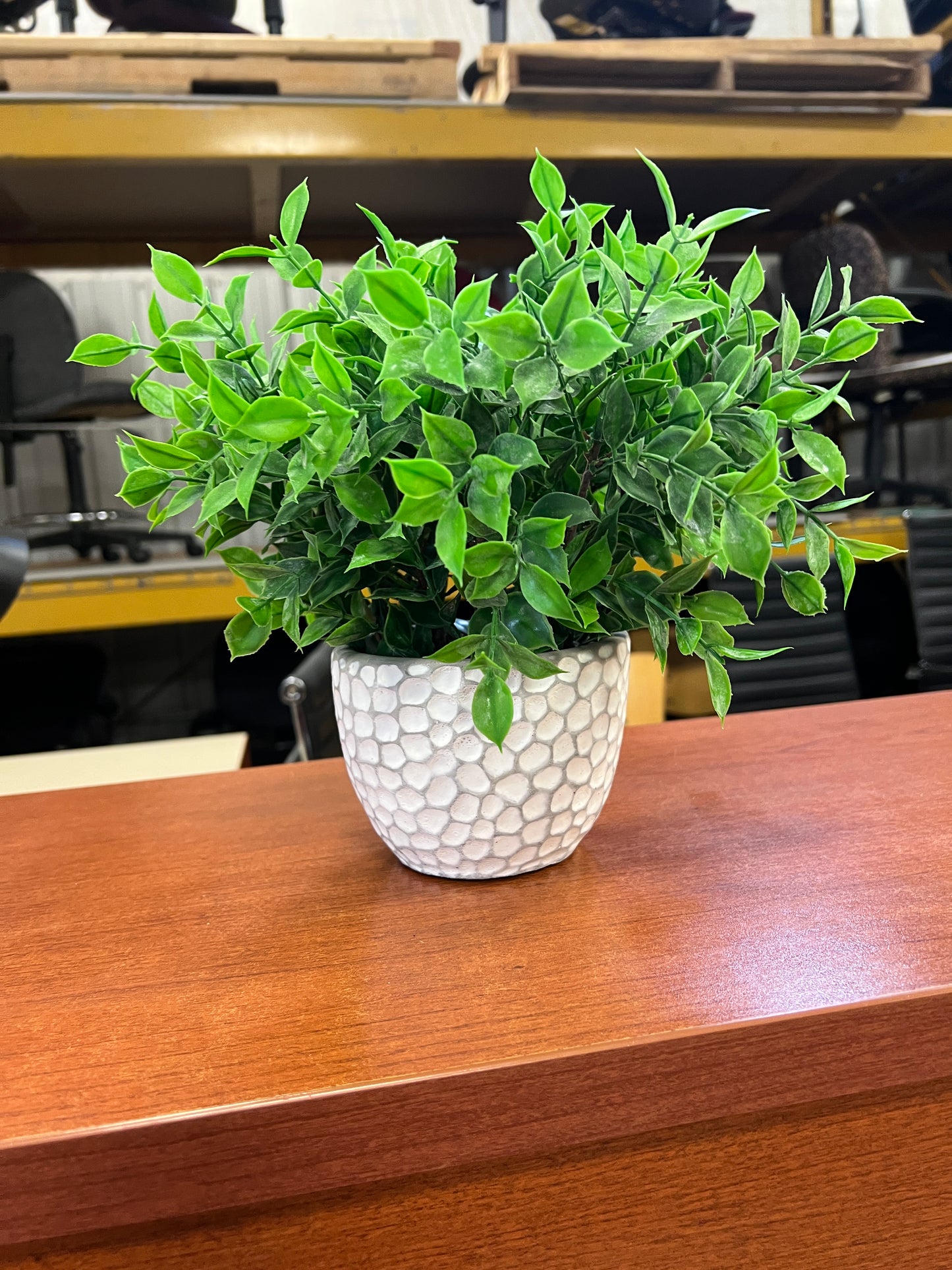 Miscellaneous- faux plant